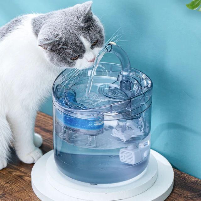 Pet Water Fountain (2L)
