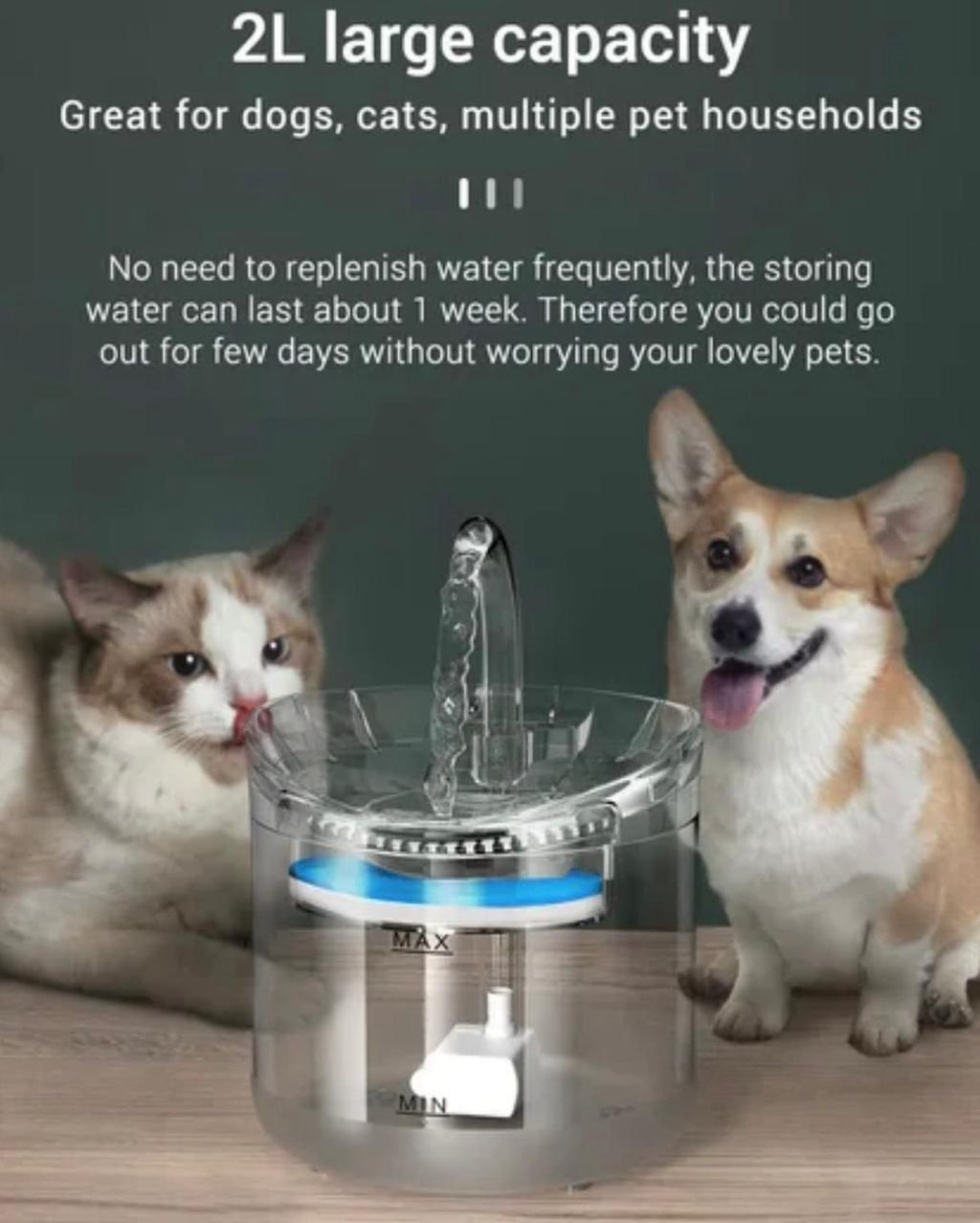 Pet Water Fountain (2L)